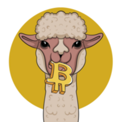 Alpaca