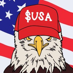 American Coin