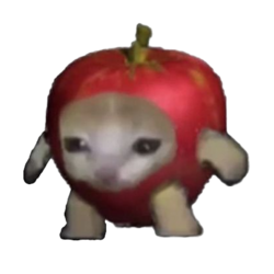Apple Cat