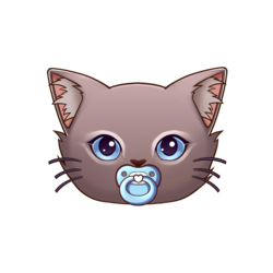 Baby Cat