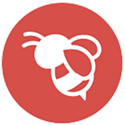 BEE Launchpad