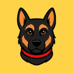 Belgian Malinois