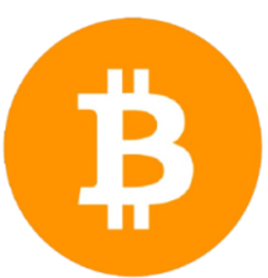 Bitcoin Bit