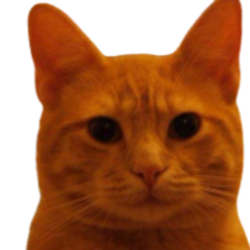 Bitcoin Cat