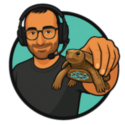 Bitcoin the Turtle
