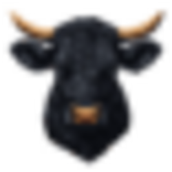 Black Agnus