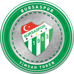 Bursaspor Fan Token