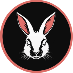 CashBunny