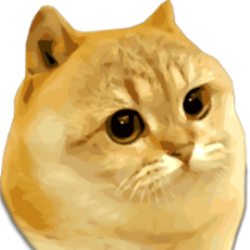 Catge Coin