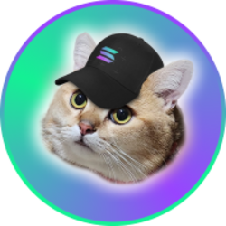 CatSolHat