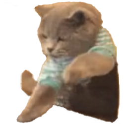 Clicking Cat