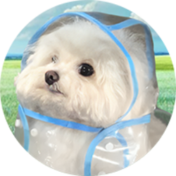 COAT DOG