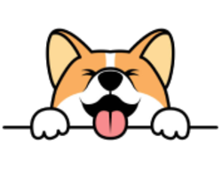 Corgidoge