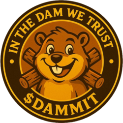 DAM IT