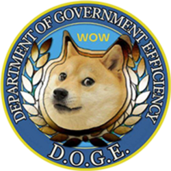 Department Of Government Efficiency