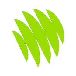 DigiCask Token