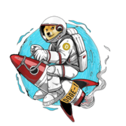 Doge-1 Mission to the moon
