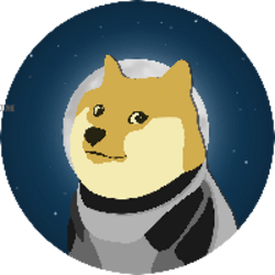 DOGE-1