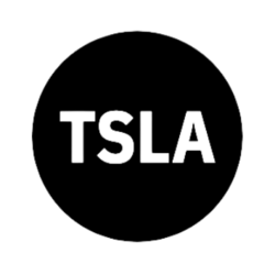 Tesla Tokenized Stock Defichain