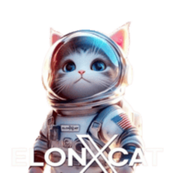 ElonXCat