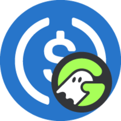 Geist USDC