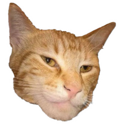 Giga Cat