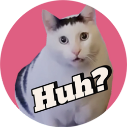 Huh cat