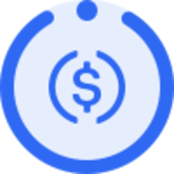 Instadapp USDC