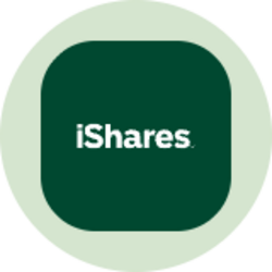 iShares J.P. Morgan EM Local Currency Bond ETF (Ondo Tokenized)