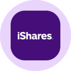 iShares MSCI Emerging Markets ETF (Ondo Tokenized ETF)