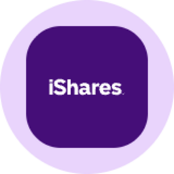 iShares Semiconductor ETF (Ondo Tokenized)