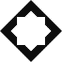 Islamic Coin