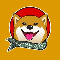 Kylo The Doge