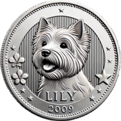 Lily's Coin