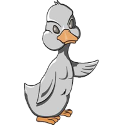 Little Ugly Duck
