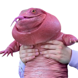 MAGAIBA
