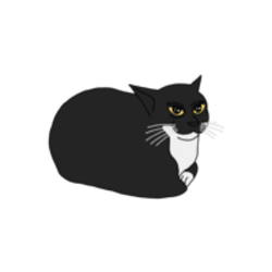 Maxwell the spinning cat
