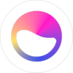 MEV Capital Elixir USDC