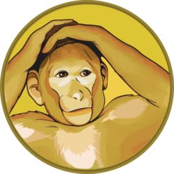 MONKIE