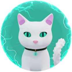 Nocha the Kat
