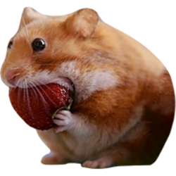 nomnom