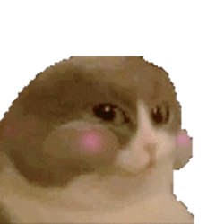 NUMCAT