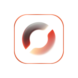 Oracle Finance Network