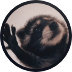 Pedro Raccoon