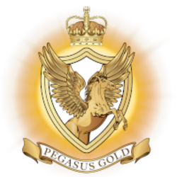 Pegasus Gold Real Estate