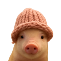 pig wif hat