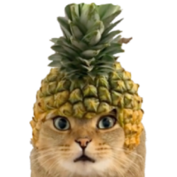 Pineapple Cat