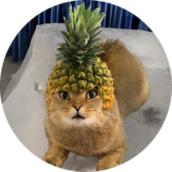 Pineapple Cat