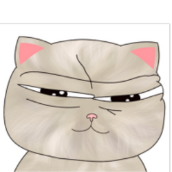 pipi the cat
