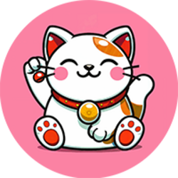 Pudgy Cat